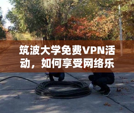 筑波大学免费VPN活动,如何享受网络乐趣 筑波大学免费VPN活动,如何享受网络乐趣