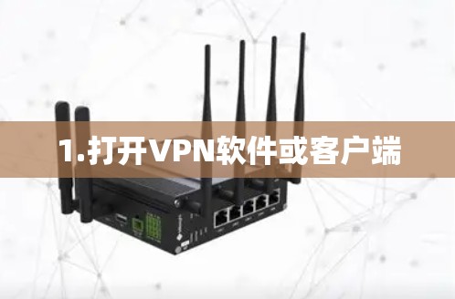1.打开VPN软件或客户端 1.打开VPN软件或客户端