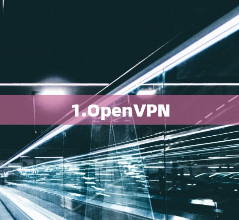 1.OpenVPN 1.OpenVPN