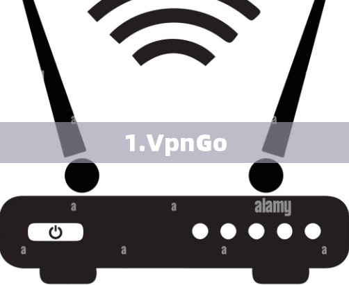 1.VpnGo