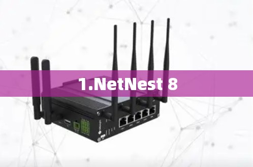 1.NetNest 8 1.NetNest 8
