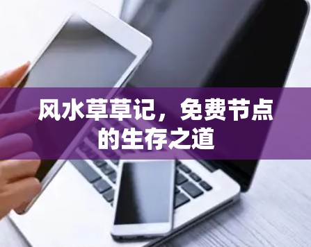 风水草草记，免费节点的生存之道