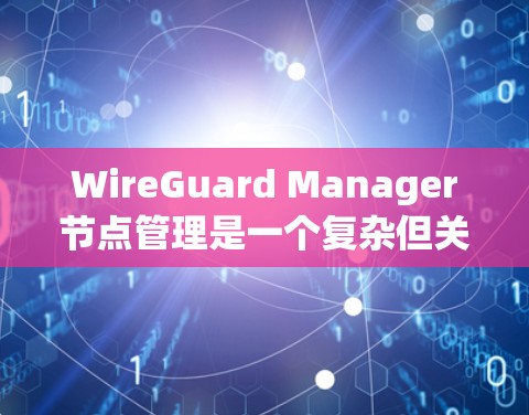 WireGuard Manager节点管理是一个复杂但关键的网络监控过程，涉及多个步骤和模块。以下是对这一过程的详细总结