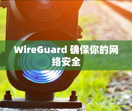 WireGuard 确保你的网络安全