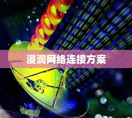 浸润网络连接方案 浸润网络连接方案