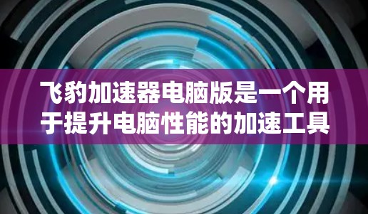飞豹加速器电脑版是一个用于提升电脑性能的加速工具，通常通过软件加速CPU、显卡或系统。以下是关于飞豹加速器电脑版的详细介绍
