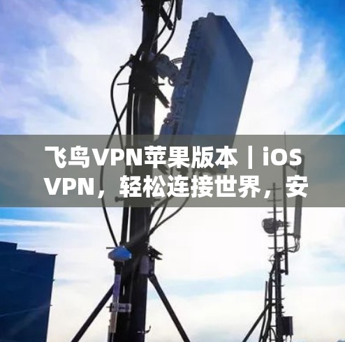 飞鸟VPN苹果版本｜iOS VPN，轻松连接世界，安全无忧
