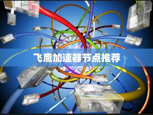 飞鹰加速器节点推荐