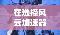在选择风云加速器时，建议按照以下步骤进行