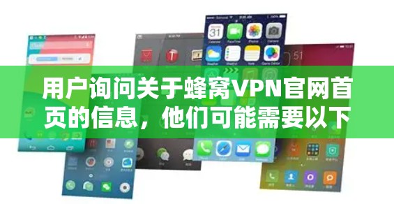 用户询问关于蜂窝VPN官网首页的信息，他们可能需要以下详细信息