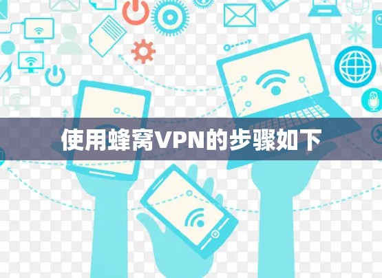 使用蜂窝VPN的步骤如下