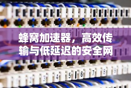 蜂窝加速器，高效传输与低延迟的安全网络