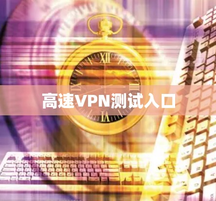 高速VPN测试入口
