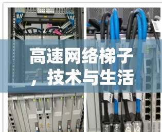 高速网络梯子，技术与生活的完美融合