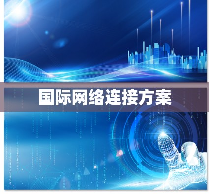 国际网络连接方案