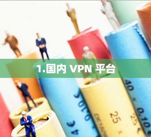 1.国内 VPN 平台