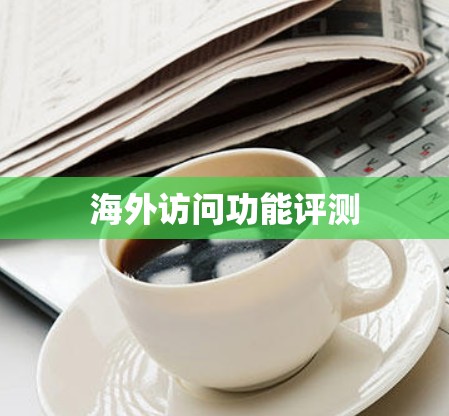 海外访问功能评测 海外访问功能评测