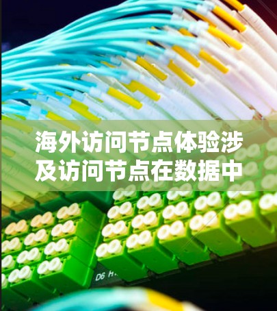 海外访问节点体验涉及访问节点在数据中心中的操作和使用。以下是一个全面的概述