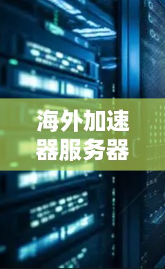 海外加速器服务器的选择与挑战
