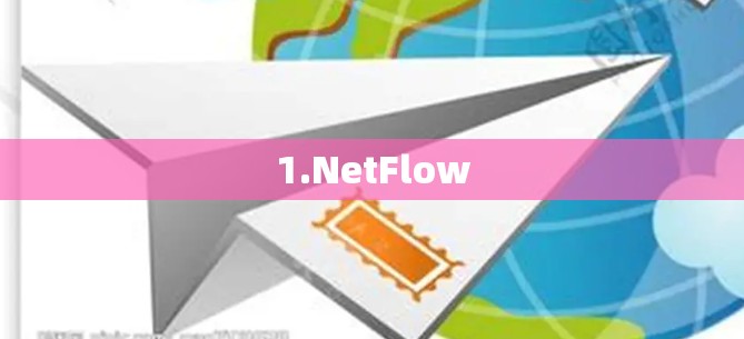1.NetFlow